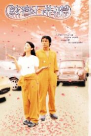 Follow You Loving You 2003 one on netflix