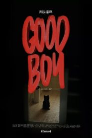 Good Boy 2022 one on netflix