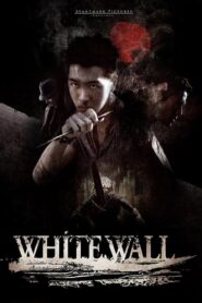 White Wall 2010 one on netflix