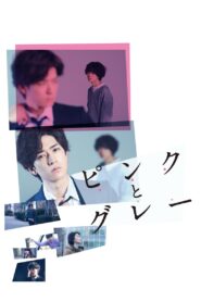 Pink and Gray 2016 one on netflix