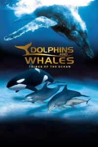 IMAX Dolphins and Whales: Tribes of the Ocean 2008 one on netflix