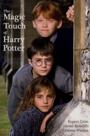 The Magic Touch of Harry Potter 2004 one on netflix