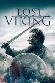 The Lost Viking 2018 one on netflix
