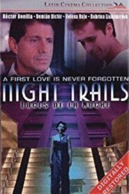 Luces de la noche 1998 one on netflix