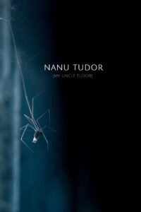 My Uncle Tudor 2021 one on netflix