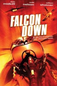 Falcon Down 2001 one on netflix