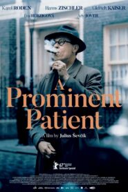 A Prominent Patient 2017 one on netflix