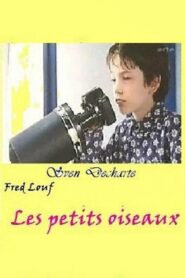 Just Little Birds 2001 one on netflix