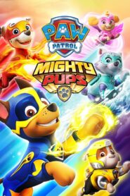PAW Patrol: Mighty Pups 2018 one on netflix
