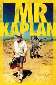 Mr. Kaplan 2014 one on netflix