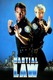 Martial Law 1990 one on netflix