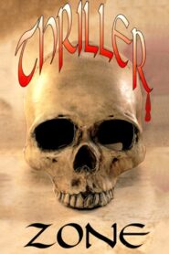 Thriller Zone 1995 one on netflix