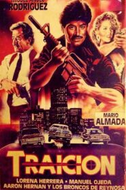 Traición 1991 one on netflix