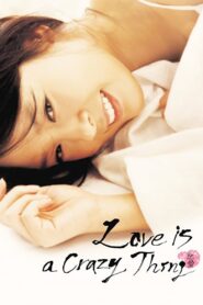 Love is a Crazy Thing 2005 one on netflix