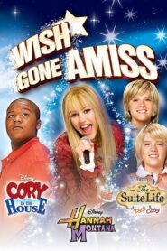 Wish Gone Amiss 2007 one on netflix