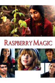 Raspberry Magic 2010 one on netflix