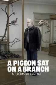 A Pigeon Sat on a Branch Reflecting on Existence 2014 one on netflix