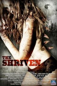 The Shriven 2010 one on netflix