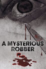 A Mysterious Robber 2012 one on netflix