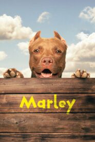 Marley 2022 one on netflix