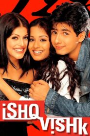 Ishq Vishk 2003 one on netflix