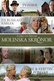 Den ryska dörren 2010 one on netflix