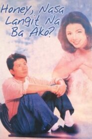 Honey, Nasa Langit na ba Ako? 1998 one on netflix
