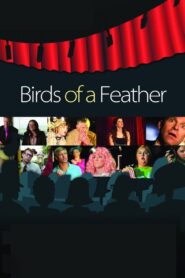 Birds of a Feather 2011 one on netflix
