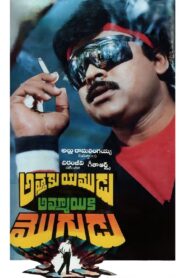Attaku Yamudu Ammayiki Mogudu 1989 one on netflix
