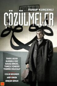 Çözülmeler 1994 one on netflix