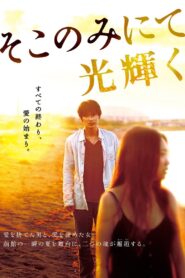 The Light Shines Only There 2014 one on netflix