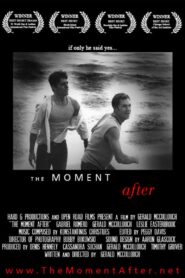 The Moment After 2002 one on netflix