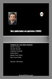 Dos judiciales en aprietos 1990 one on netflix