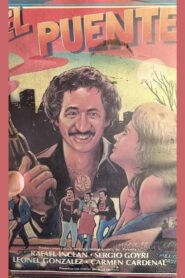 El puente 1984 one on netflix