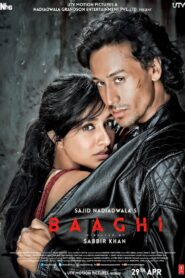 Baaghi 2016 one on netflix