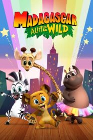 Madagascar: A Little Wild – Holiday Goose Chase 2021 one on netflix