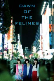 Dawn of the Felines 2017 one on netflix