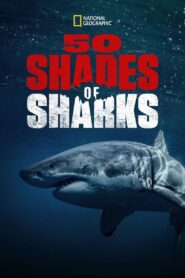 50 Shades of Sharks 2020 one on netflix