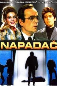 Attacker 1993 one on netflix
