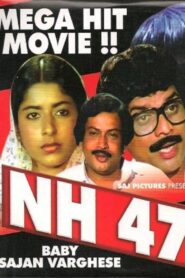 NH 47 1984 one on netflix