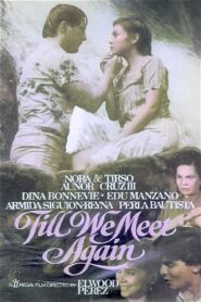 Till We Meet Again 1985 one on netflix