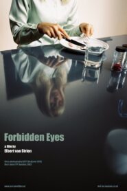 Forbidden Eyes 2002 one on netflix