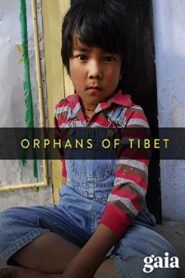 Orphans of Tibet 2010 one on netflix