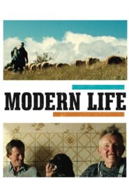Modern Life 2008 one on netflix