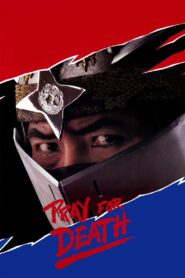 Pray for Death 1985 one on netflix
