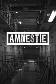 Amnesty 2019 one on netflix