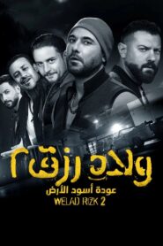 Sons of Rizk 2: Return of the Lions of the Land 2019 one on netflix