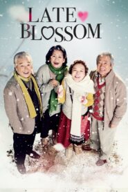 Late Blossom 2011 one on netflix