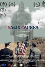 Salix Caprea 2018 one on netflix