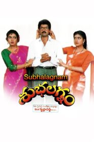 Subhalagnam 1994 one on netflix